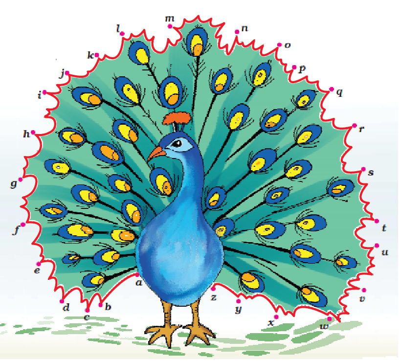 NCERT Solutions Class 1 English Unit 4 Poem Once I Saw a Little Bird - 2