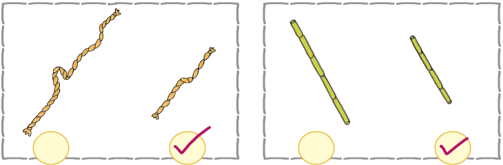 NCERT Solutions Class 1 Maths Chapter 7 Measurement - 4