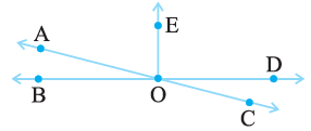 NCERT Solutions for Class 7 Maths Chapter 5 Lines and Angles Image 13