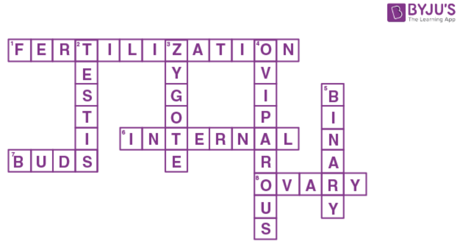 Crossword Puzzle on Reproduction in Animals