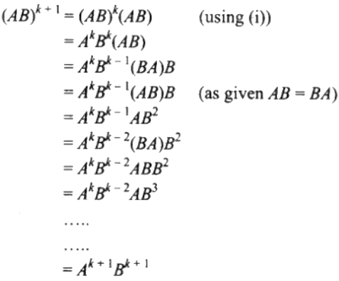 NCERT Exemplar Solutions Class 12 Mathematics Chapter 3 - 91