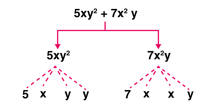 NCERT Solutions for Class 7 Maths Chapter 12 Algebraic Expressions Image 4