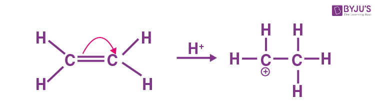NCERT Solutions for Class 11 Chemistry Chapter 12 Organic Chemistry - Some Basic Principles and Techniques Q12.17