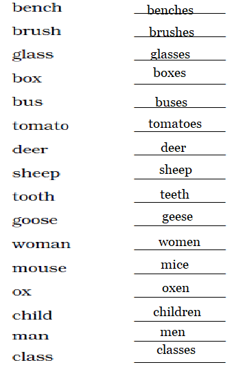 NCERT Solutions Class 2 English Unit 8 Poem I am the Music Man-6