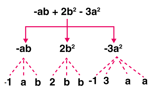 NCERT Solutions for Class 7 Maths Chapter 12 Algebraic Expressions Image 5