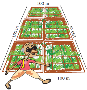 NCERT Solutions for Class 4 Chapter 13 Image 8