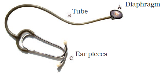NCERT Exemplar Solutions Class 7 Science Chapter 11-sol-4