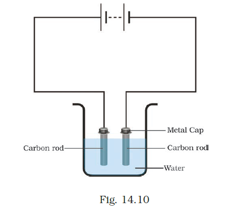 NCERT Exemplar Class 8 Science chapter 14 Solutions fig 13