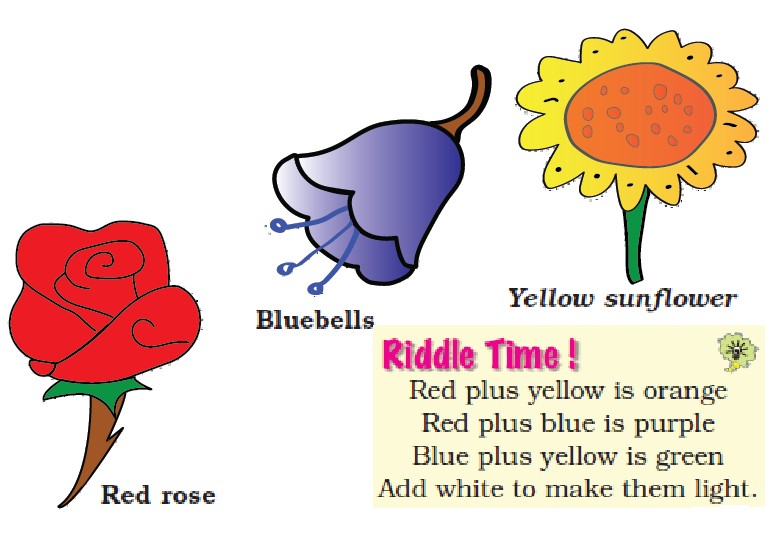 NCERT Solutions Class 1 English Unit 3 Story Lalu and Peelu - 6