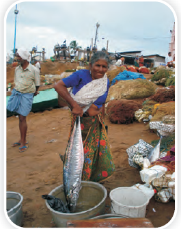 NCERT Solutions For Class 5 Maths Chapter 1 image 4