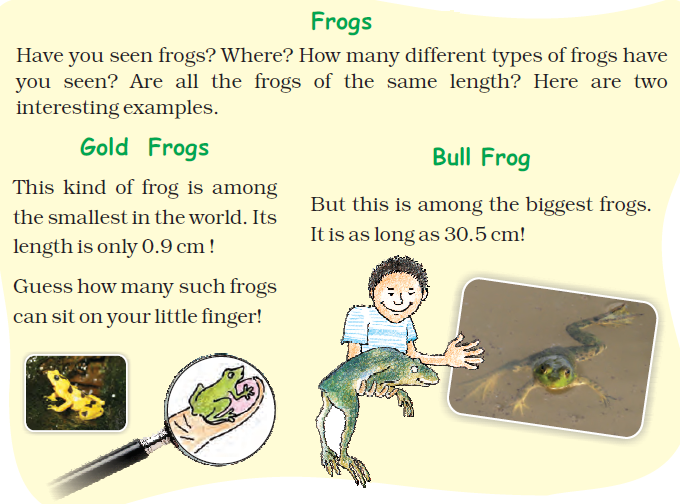 NCERT Solutions for Class 5 Chapter 10 Image 4