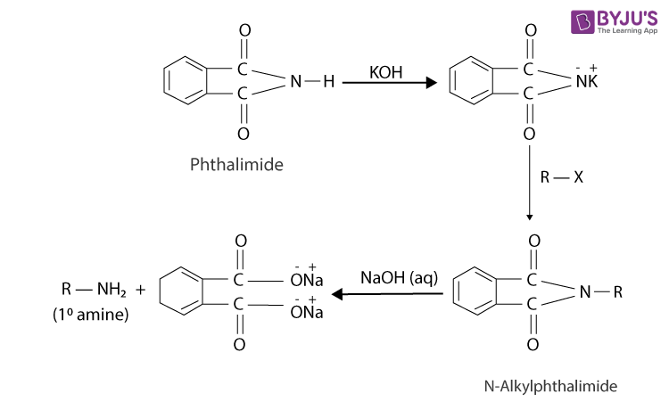 NCERT Solutions for Class 12 Chemistry Chapter 13 Amines Q 13.12-1