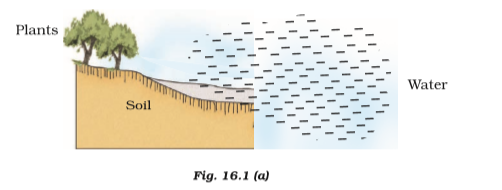 ncert solutions class 10 science chapter 16 management of natural resources fig 1
