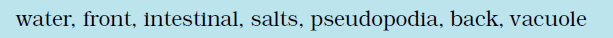 NCERT Exemplar Solutions Class 7 Science Chapter 2-sol-1