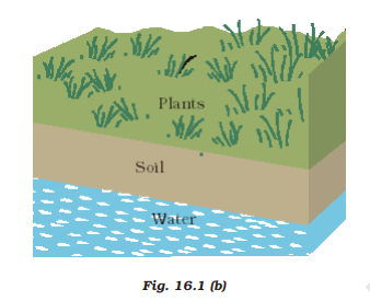 ncert solutions class 10 science chapter 16 management of natural resources fig 2