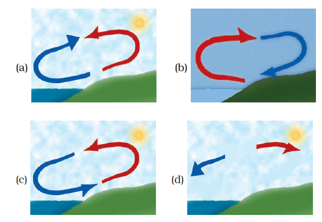 NCERT Exemplar Solutions Class 7 Science Chapter 8-sol-1