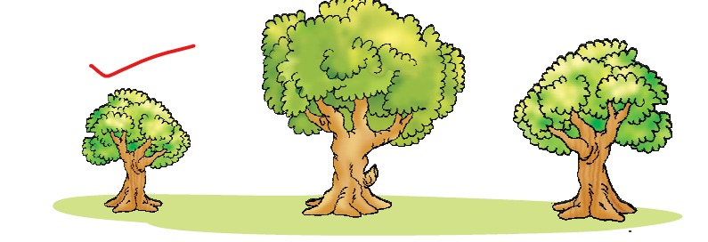 NCERT Solutions Class 1 Maths Unit 1 Shapes and Space - 8