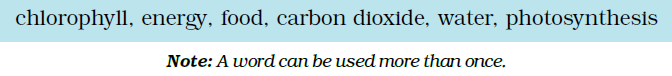 NCERT Exemplar Solutions Class 7 Science Chapter 1-sol-3