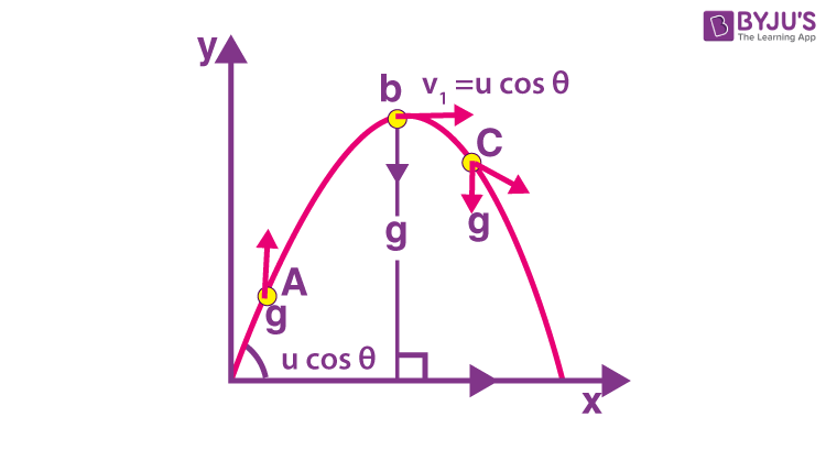 Exemplar Solutions Class 11 Physics Chapter 4 - 6