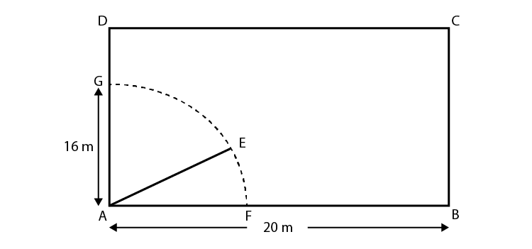 NCERT Exemplar Class 10 Maths Chapter 11- Ex.11.3 Question 5