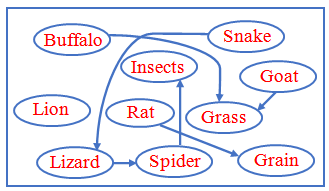 seo images