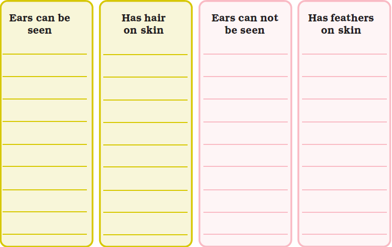 NCERT solutions class 4 EVS chapter 2-Ear to ear-5