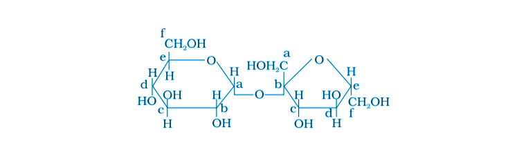 NCERT Exemplar Solutions of Class 12 Chemistry Chapter 14 Biomolecules-5