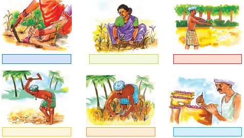 NCERT Solutions for Class 4 Chapter 14 Image 6