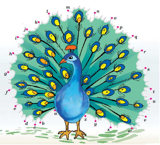 NCERT Solutions Class 1 English Unit 4 Poem Once I Saw a Little Bird - 1