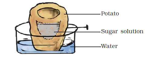 NCERT Exemplar Solutions Class 7 Science Chapter 11-sol-2