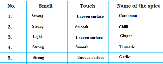 NCERT Solutions Class 4 EVS Chapter 25 - 8