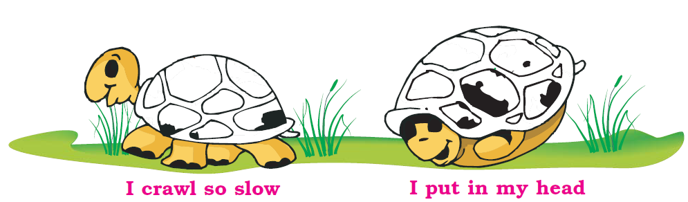 NCERT Solutions Class 1 English Unit 8 Poem A Little Turtle - 1