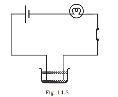 NCERT Exemplar Class 8 Science chapter 14 Solutions fig 3