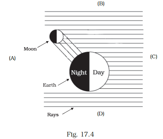 NCERT Exemplar Class 8 Science chapter 17 Solutions fig 5