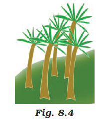 NCERT Exemplar Solutions Class 7 Science Chapter 8-sol-5
