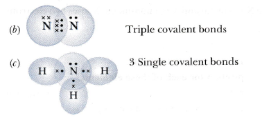triple covalent bond