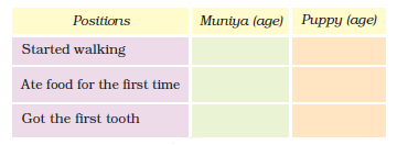 NCERT Solutions Mathematics Class 4 Chapter 4 - 12