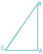 Ncert solutions class 9 chapter 7-15