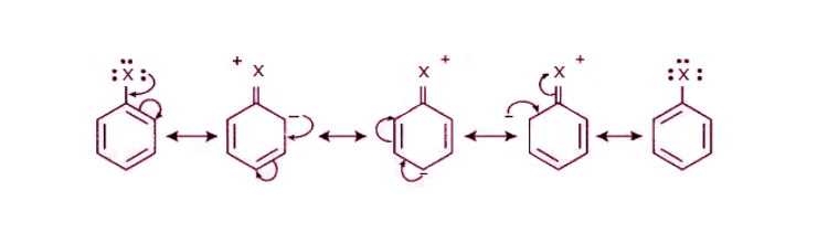 NCERT Exemplar Solutions of Class 12 Chemistry Chapter 10 Haloalkanes and Haloarenes-23