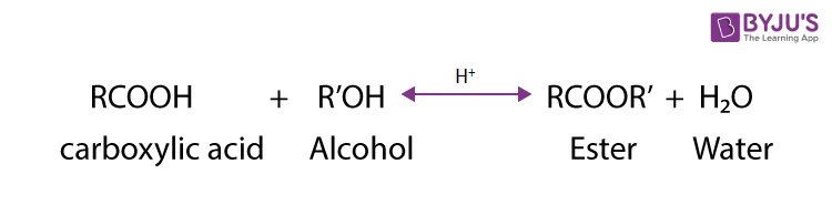 NCERT Solutions for Class 12 Chemistry Chapter 12 Aldehydes, Ketones and Carboxylic Acids Question 18 image 4