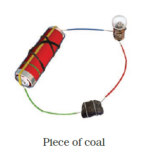 NCERT Exemplar Class 8 Science chapter 14 Solutions fig 6