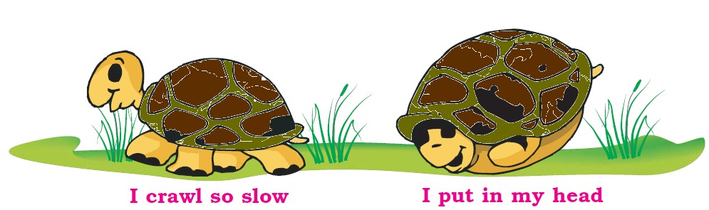 NCERT Solutions Class 1 English Unit 8 Poem A Little Turtle - 2
