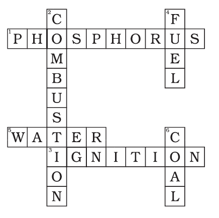 NCERT Exemplar Class 8 Science chapter 6 Solutions fig 3