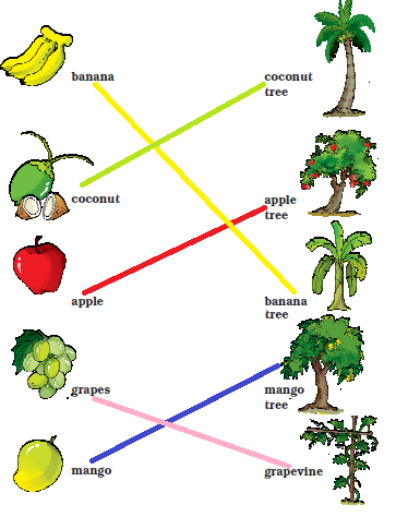 NCERT Solutions Class 1 English Unit 4 Story Mittu and the Yellow Mango - 6