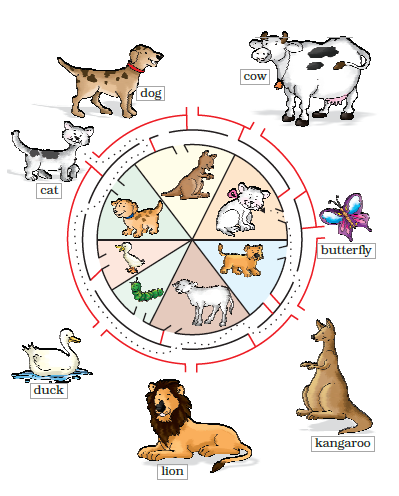 NCERT Solutions Class 1 English Unit 1 Poem A Happy Child - 21