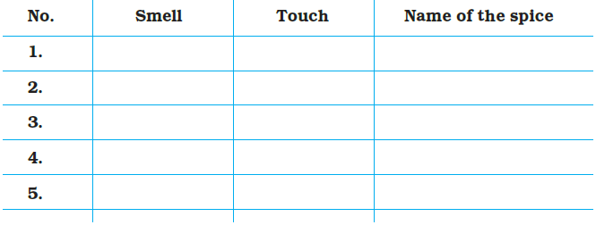 NCERT Solutions Class 4 EVS Chapter 25 - 7
