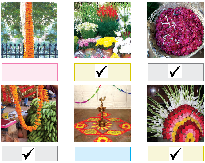 NCERT Solutions Class 4 EVS Chapter 11 - 5