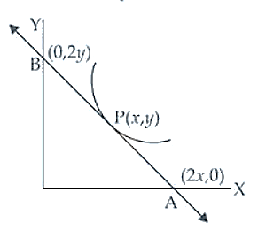 NCERT Exemplar Solutions Class 12 Mathematics Chapter 9 - 58