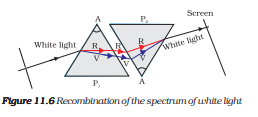 ncert solutions class 10 science chapter 11 human eye and colorful world fig 5