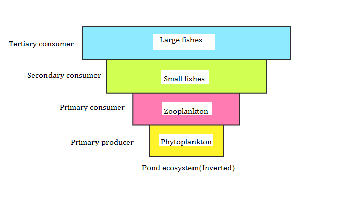 NCERT solutions class 12 Biology chapter 14 - 3